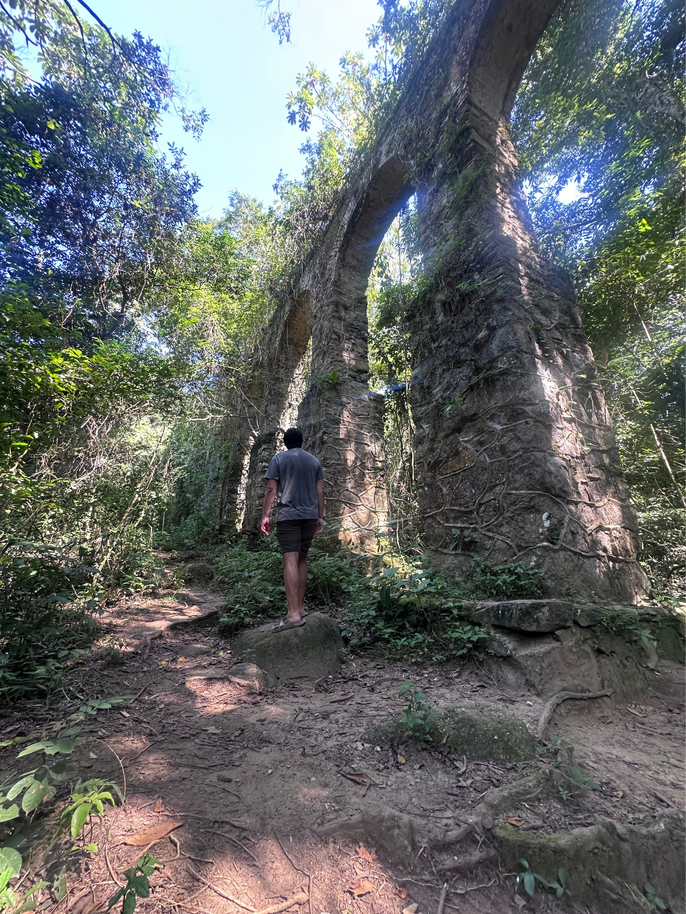 Acueducto histórico de Ilha Grande — selva atlántica